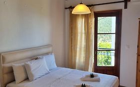 Zeus Guesthouse